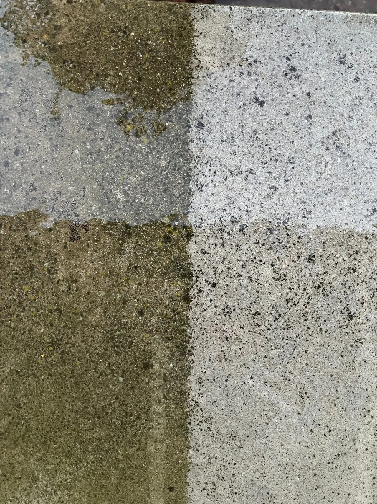 Close-up of mould and moss removed by soft washing in the Central West NSW